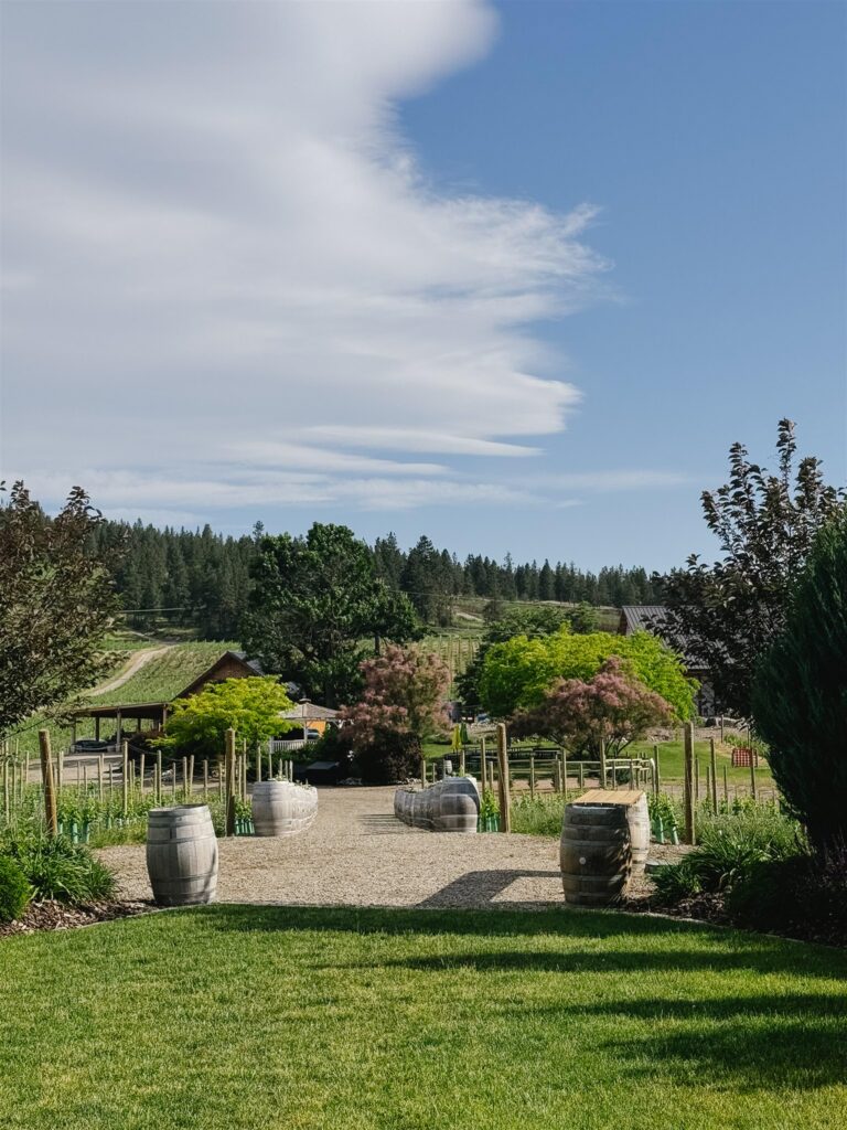 Okanagan vineyard wedding venue with lush green grass and trees